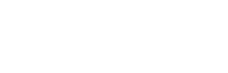 Nautilus Dynamics